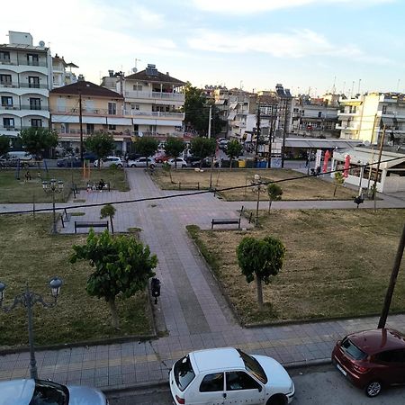 Amelies Apartments Paralia Katerinis Exterior photo